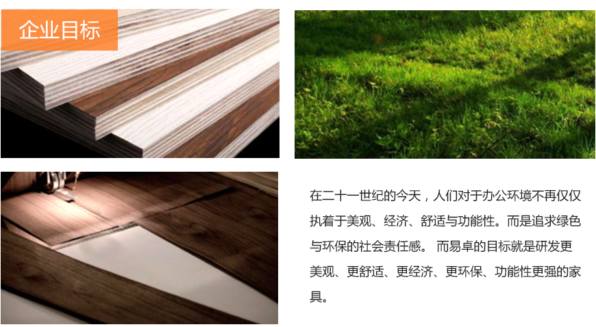 企業(yè)目標 企業(yè)目標